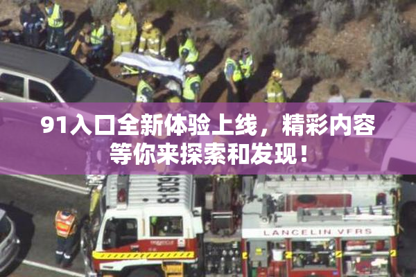 91入口全新体验上线，精彩内容等你来探索和发现！