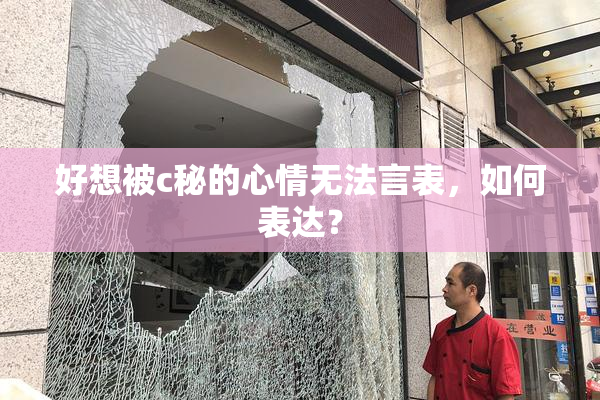 好想被c秘的心情无法言表，如何表达？