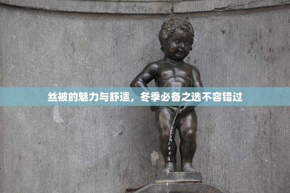 丝被的魅力与舒适，冬季必备之选不容错过