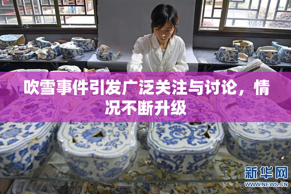 吹雪事件引发广泛关注与讨论，情况不断升级