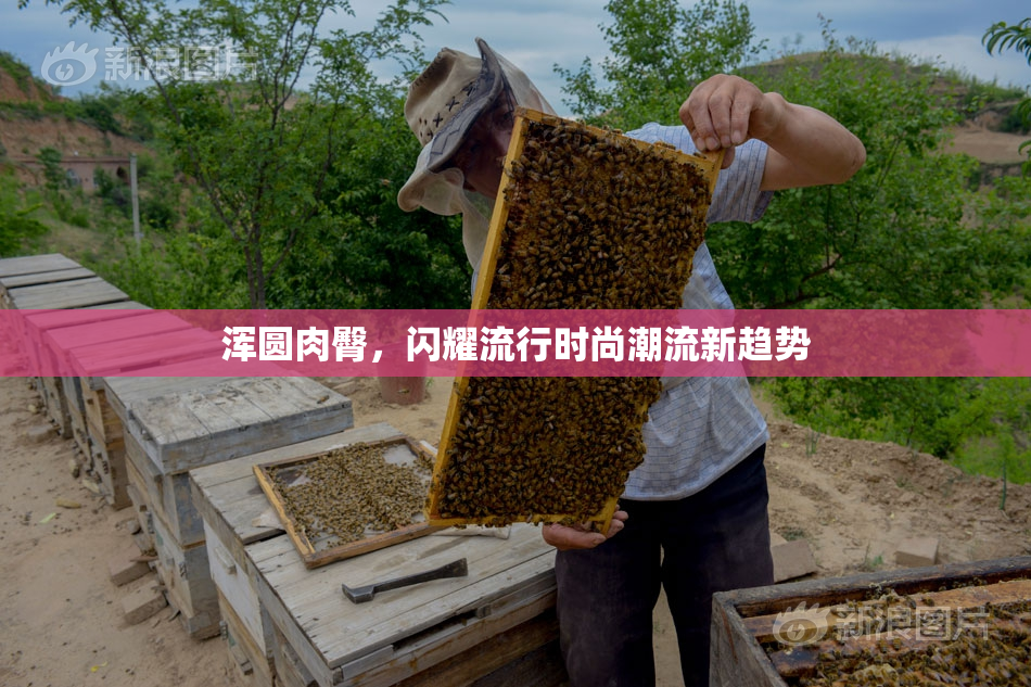 浑圆肉臀，闪耀流行时尚潮流新趋势