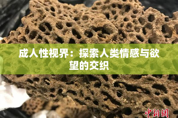 成人性视界：探索人类情感与欲望的交织