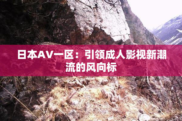 日本AV一区：引领成人影视新潮流的风向标