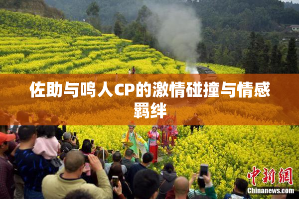 佐助与鸣人CP的激情碰撞与情感羁绊