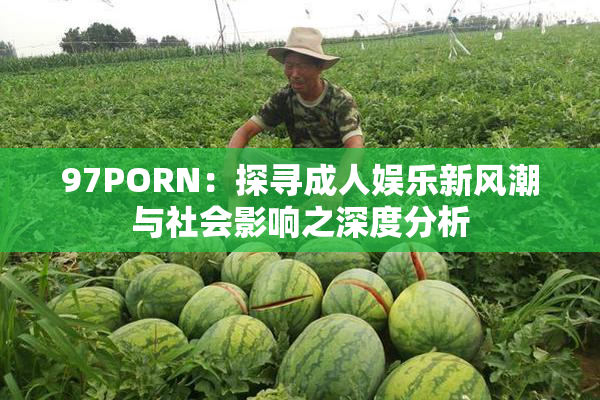 97PORN：探寻成人娱乐新风潮与社会影响之深度分析