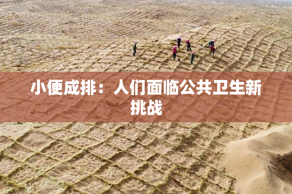 小便成排：人们面临公共卫生新挑战