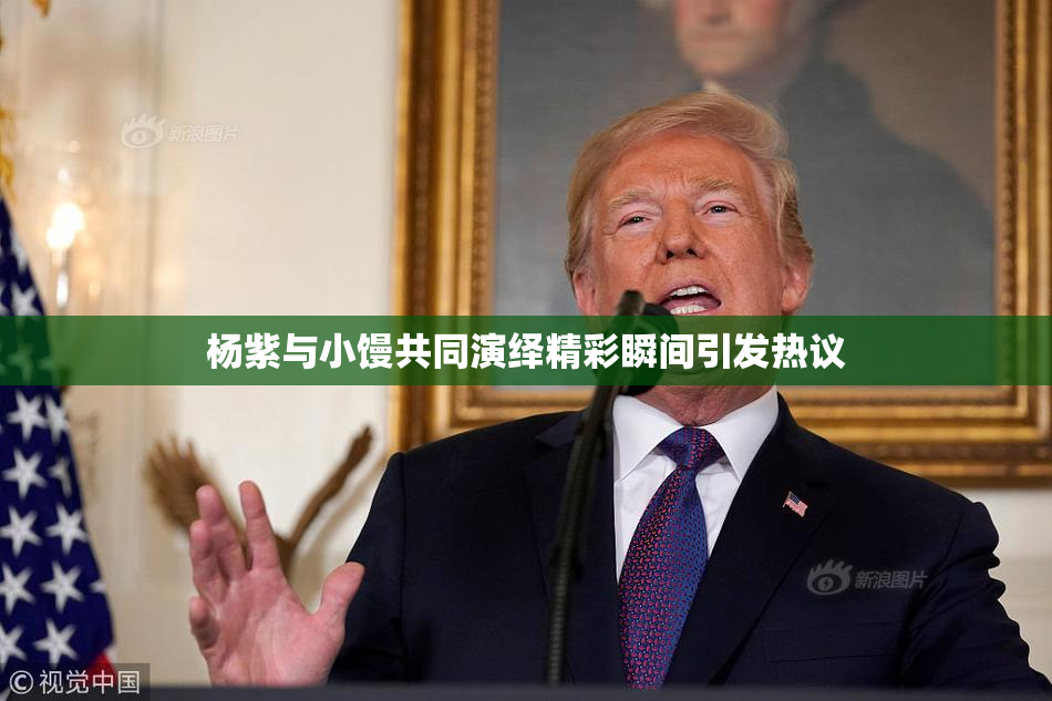 杨紫与小馒共同演绎精彩瞬间引发热议
