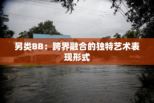 另类BB：跨界融合的独特艺术表现形式