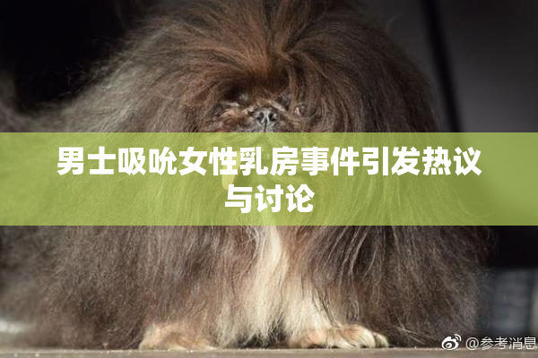 男士吸吮女性乳房事件引发热议与讨论
