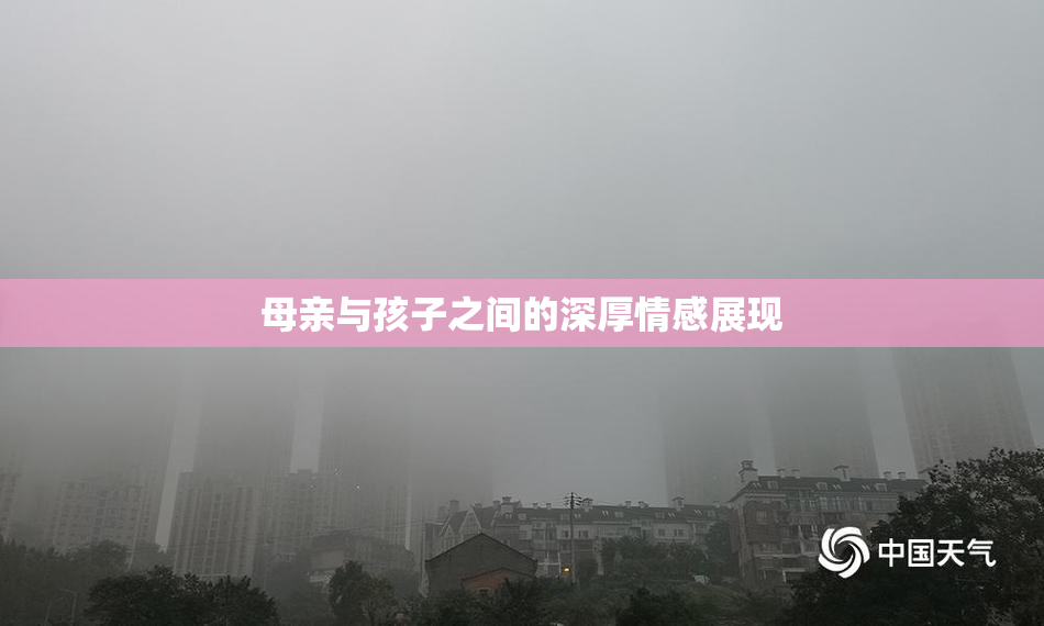 母亲与孩子之间的深厚情感展现