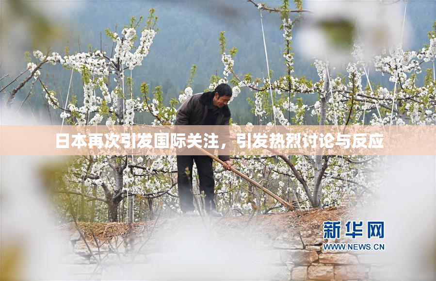 日本再次引发国际关注，引发热烈讨论与反应