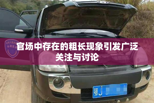 官场中存在的粗长现象引发广泛关注与讨论