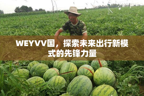 WEYVV国，探索未来出行新模式的先锋力量