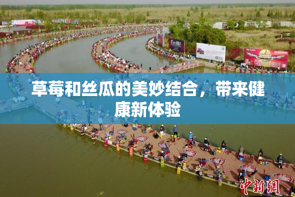 草莓和丝瓜的美妙结合，带来健康新体验