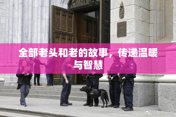 全部老头和老的故事，传递温暖与智慧