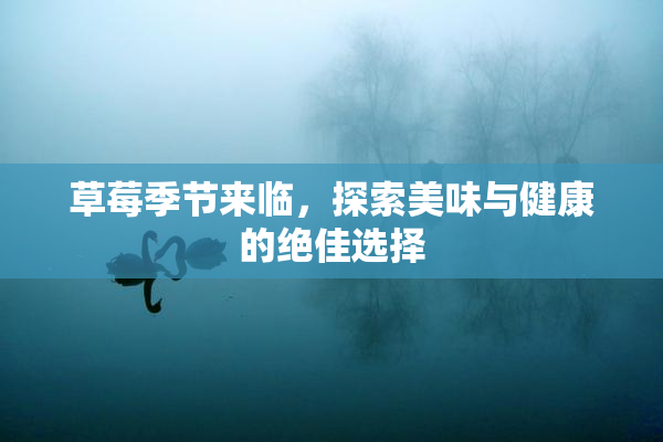 草莓季节来临，探索美味与健康的绝佳选择