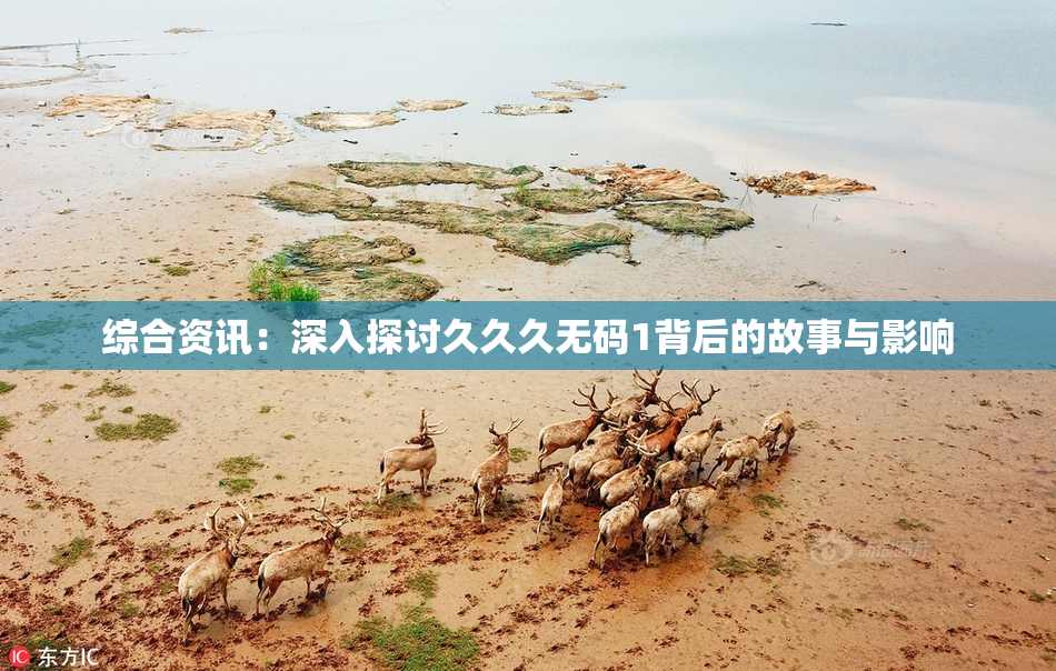 综合资讯：深入探讨久久久无码1背后的故事与影响