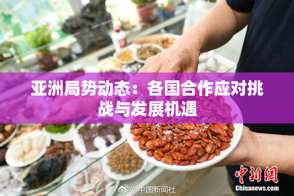 亚洲局势动态：各国合作应对挑战与发展机遇