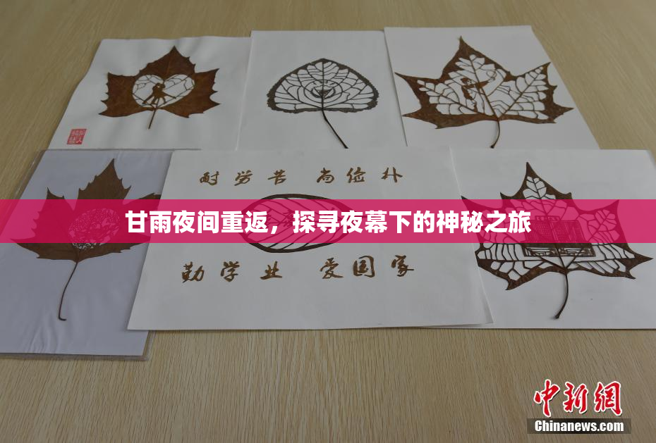 甘雨夜间重返，探寻夜幕下的神秘之旅
