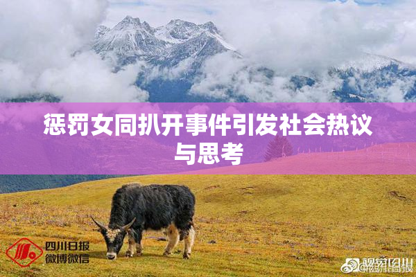 惩罚女同扒开事件引发社会热议与思考