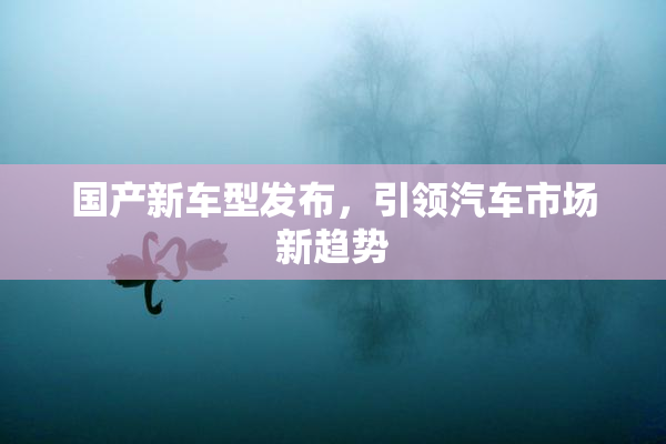 国产新车型发布，引领汽车市场新趋势