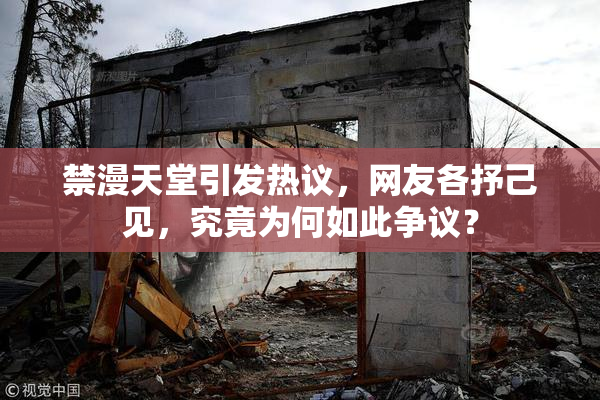 禁漫天堂引发热议，网友各抒己见，究竟为何如此争议？