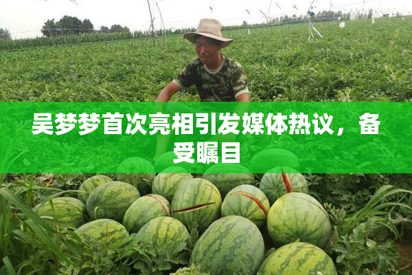 吴梦梦首次亮相引发媒体热议，备受瞩目