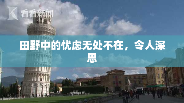 田野中的忧虑无处不在，令人深思