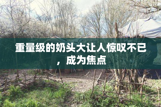 重量级的奶头大让人惊叹不已，成为焦点