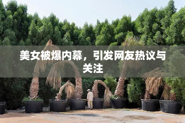美女被爆内幕，引发网友热议与关注