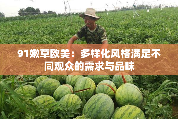 91嫩草欧美：多样化风格满足不同观众的需求与品味