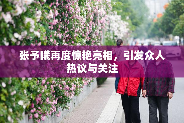 张予曦再度惊艳亮相，引发众人热议与关注