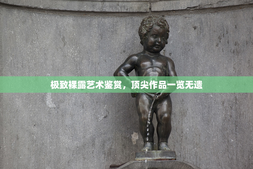 极致裸露艺术鉴赏，顶尖作品一览无遗