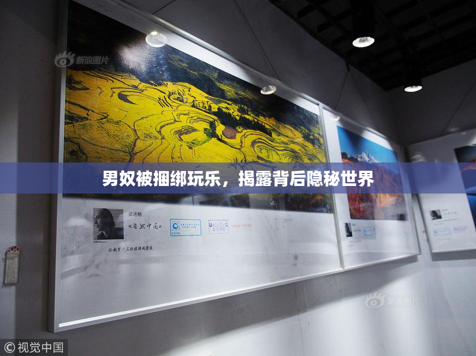 男奴被捆绑玩乐，揭露背后隐秘世界
