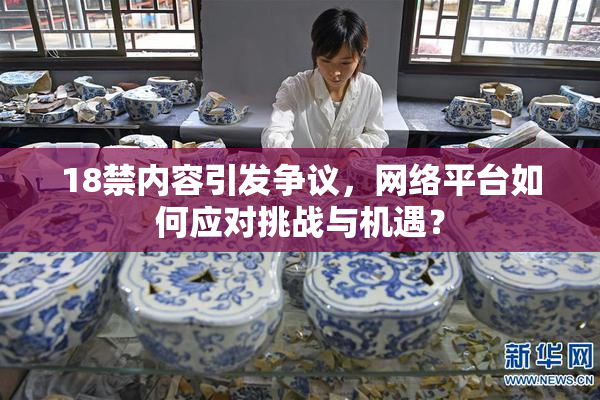 18禁内容引发争议，网络平台如何应对挑战与机遇？