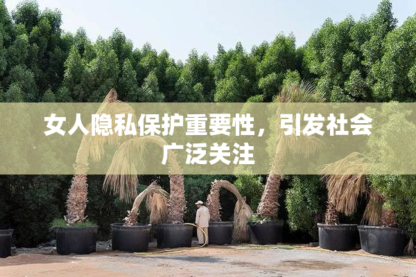 女人隐私保护重要性，引发社会广泛关注
