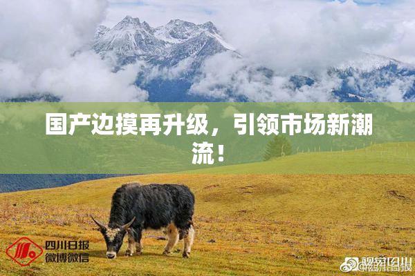 国产边摸再升级，引领市场新潮流！