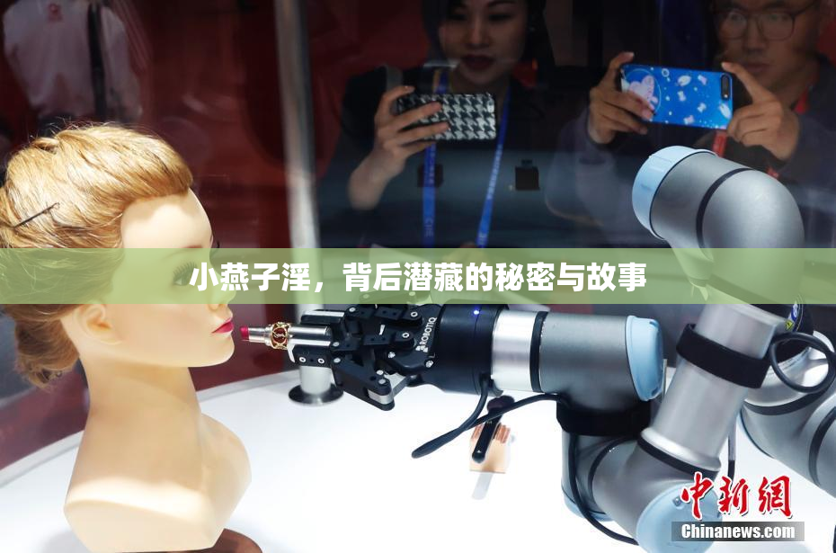 小燕子淫，背后潜藏的秘密与故事
