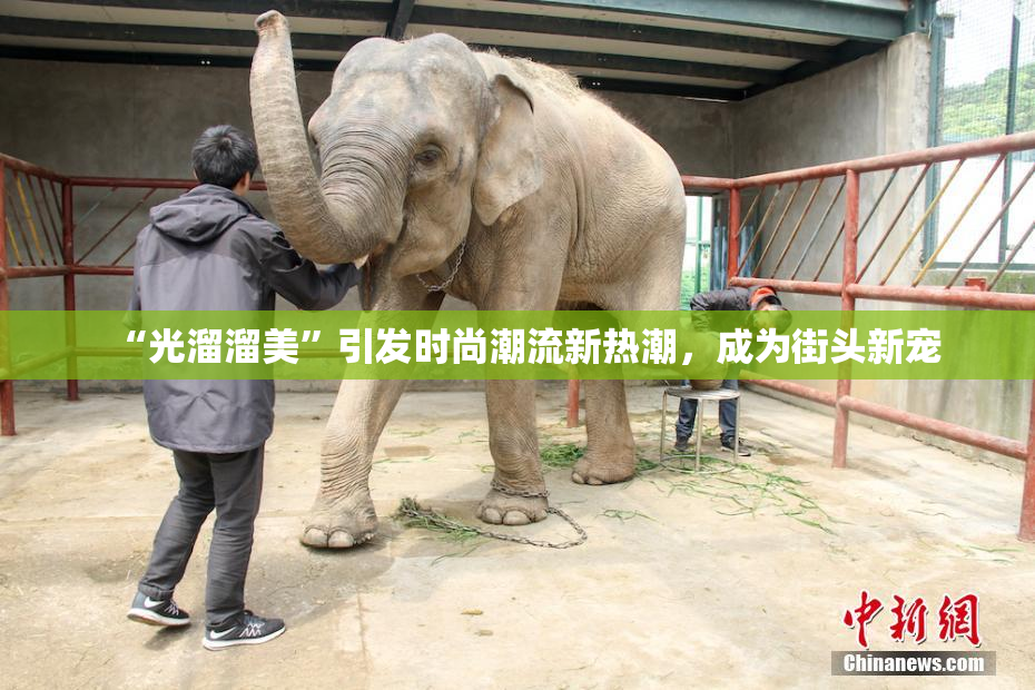 “光溜溜美”引发时尚潮流新热潮，成为街头新宠
