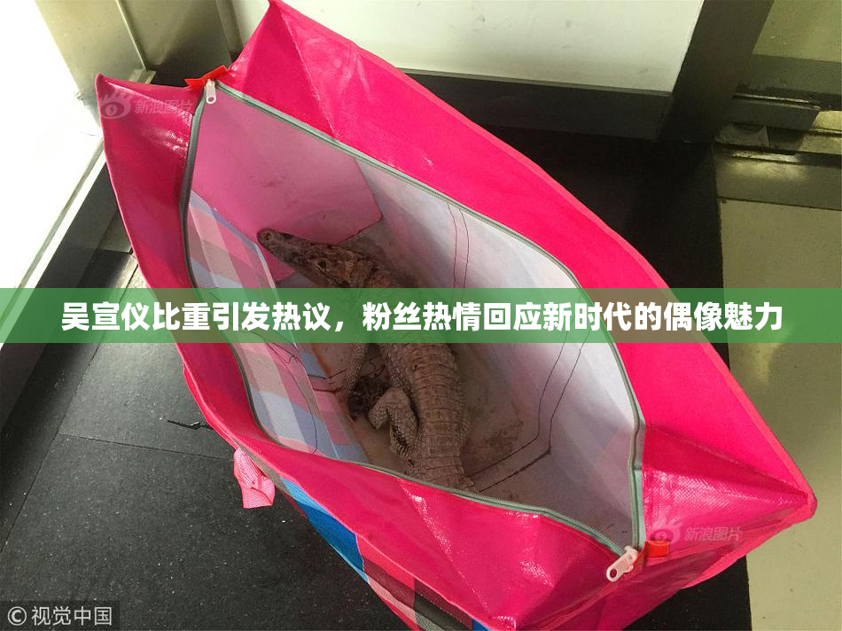 吴宣仪比重引发热议，粉丝热情回应新时代的偶像魅力
