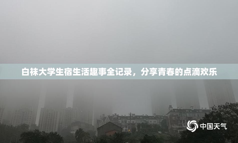 白袜大学生宿生活趣事全记录，分享青春的点滴欢乐