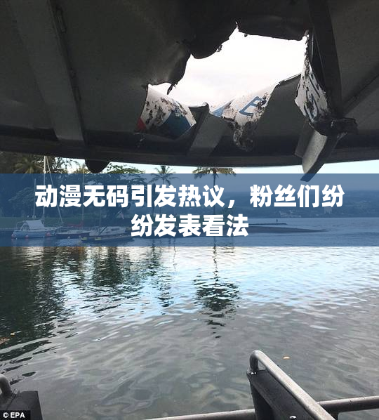 动漫无码引发热议，粉丝们纷纷发表看法