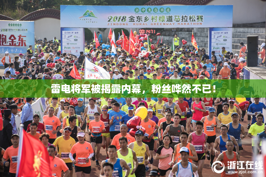 雷电将军被揭露内幕，粉丝哗然不已！