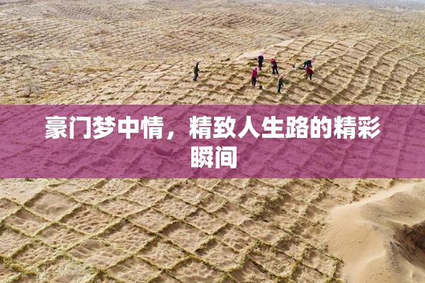 豪门梦中情，精致人生路的精彩瞬间