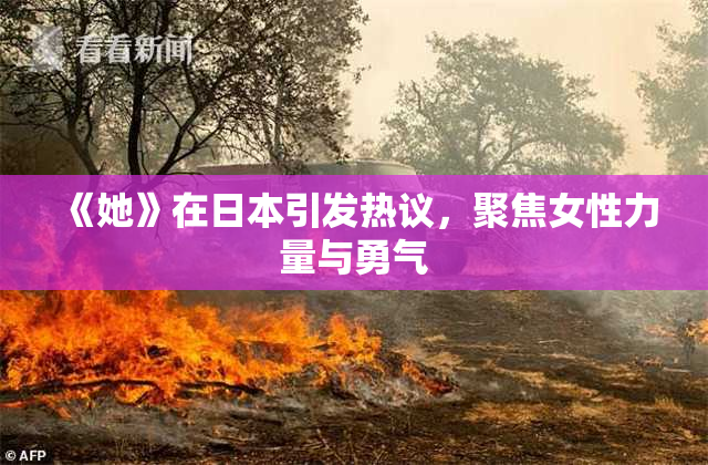 《她》在日本引发热议，聚焦女性力量与勇气