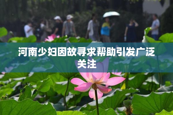 河南少妇因故寻求帮助引发广泛关注