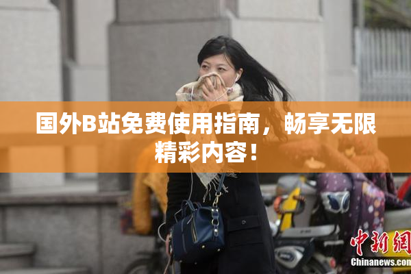 国外B站免费使用指南，畅享无限精彩内容！