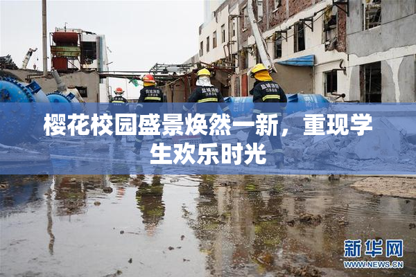 樱花校园盛景焕然一新，重现学生欢乐时光