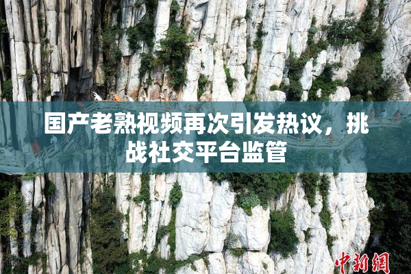 国产老熟视频再次引发热议，挑战社交平台监管