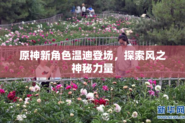 原神新角色温迪登场，探索风之神秘力量